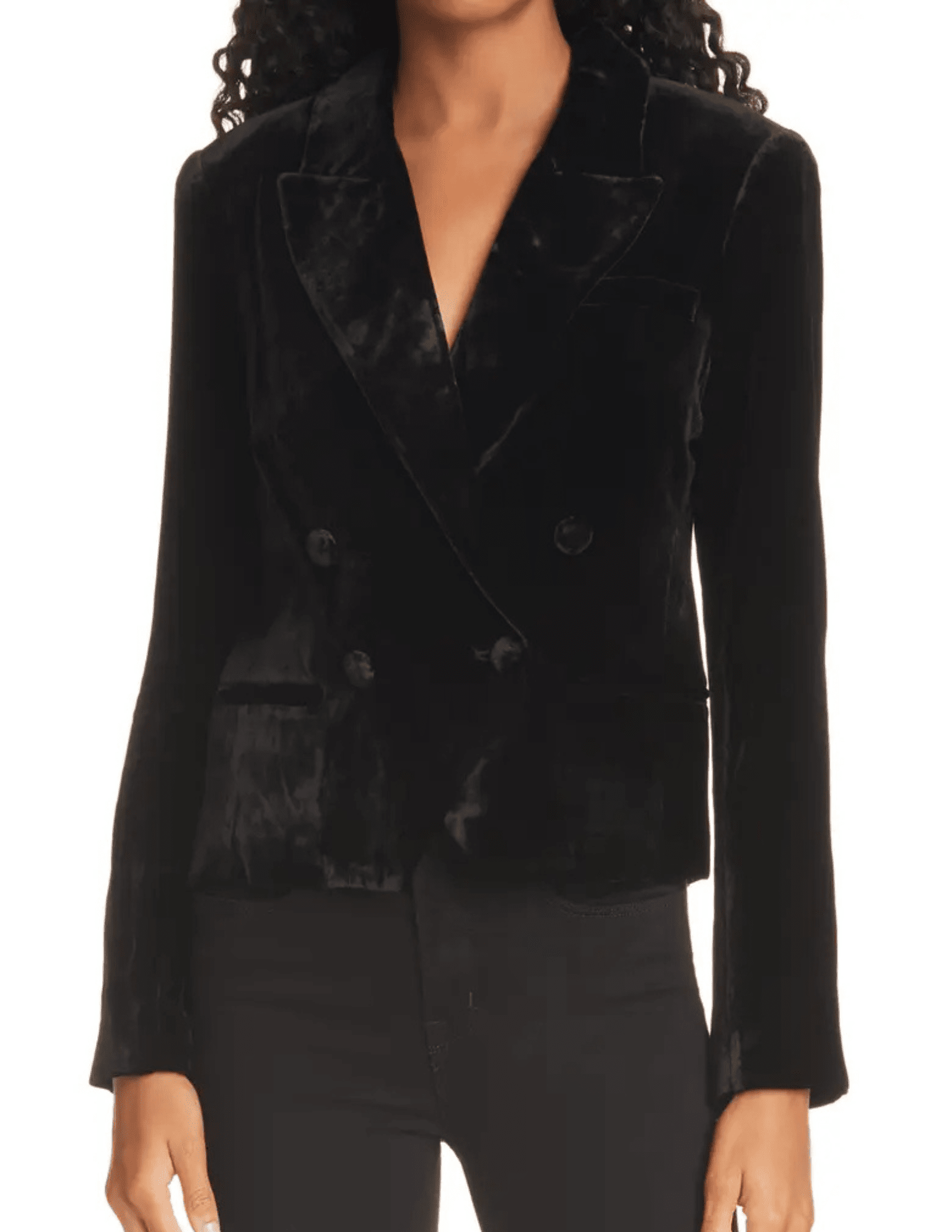 Front view of L'AGENCE Rory Double Breasted Blazer in Black Velvet