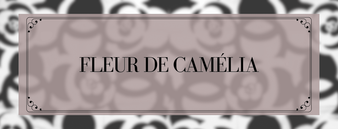 Fleur de Camélia