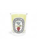 Diptyque Citronnelle (Lemongrass) Classic Candle-Limited Edition