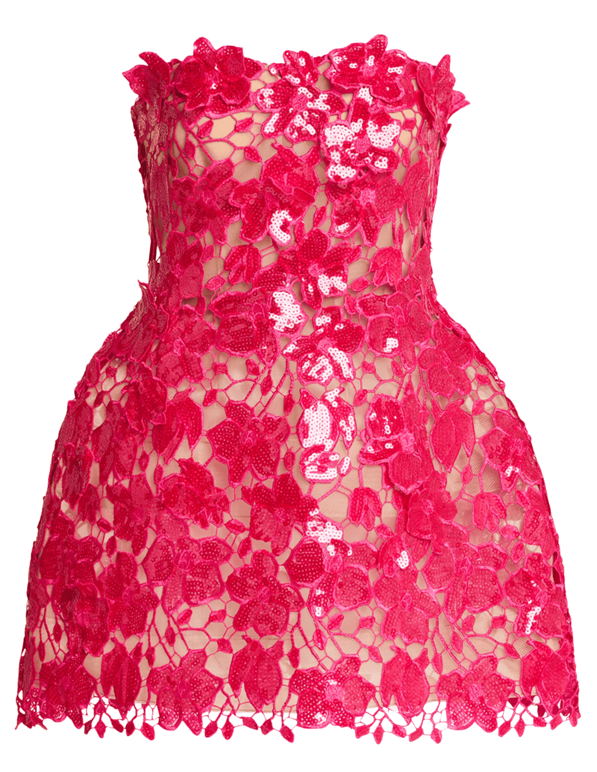 Retrofête Alira Lace Sequin Mini Dress