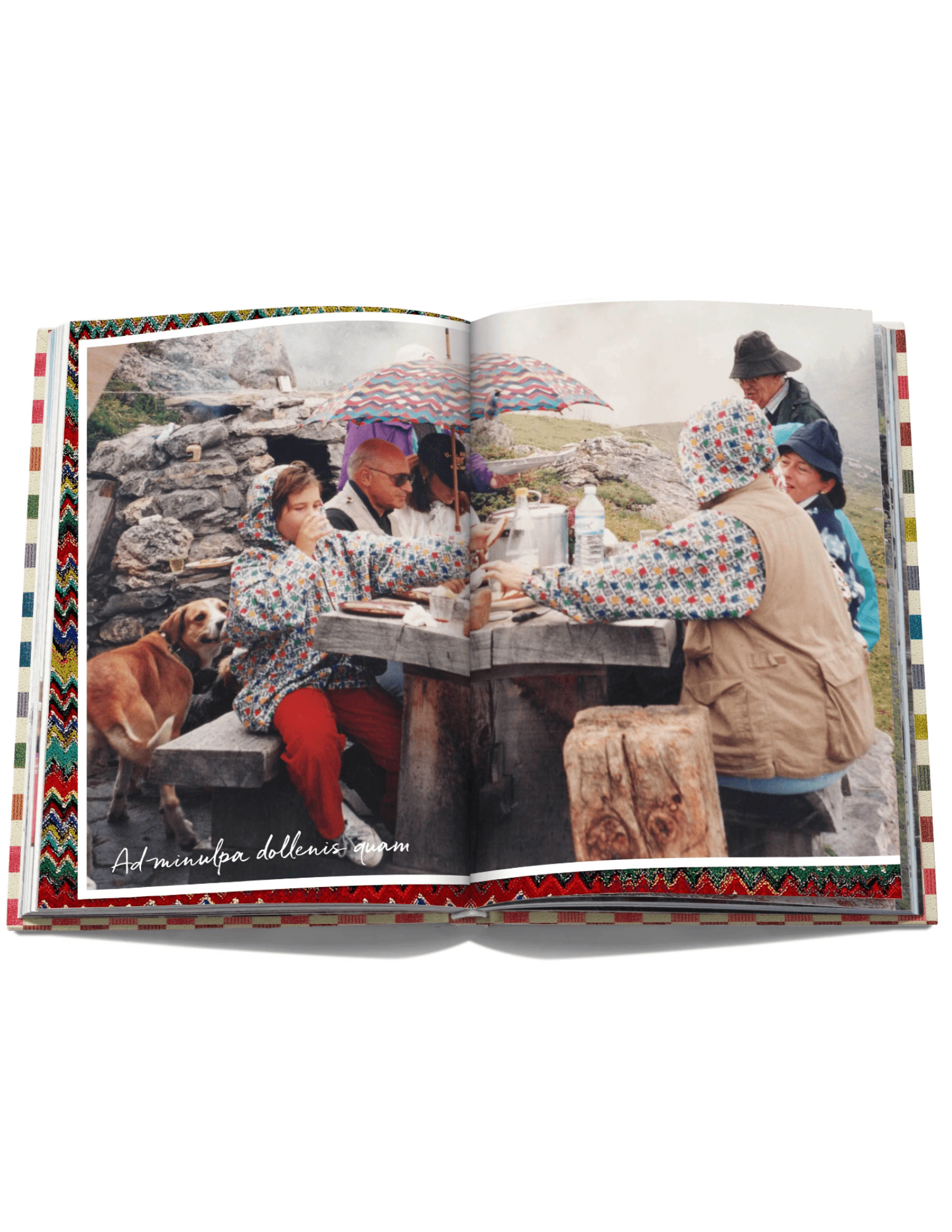 Assouline - Assouline The Missoni Family Cookbook - Buy Online