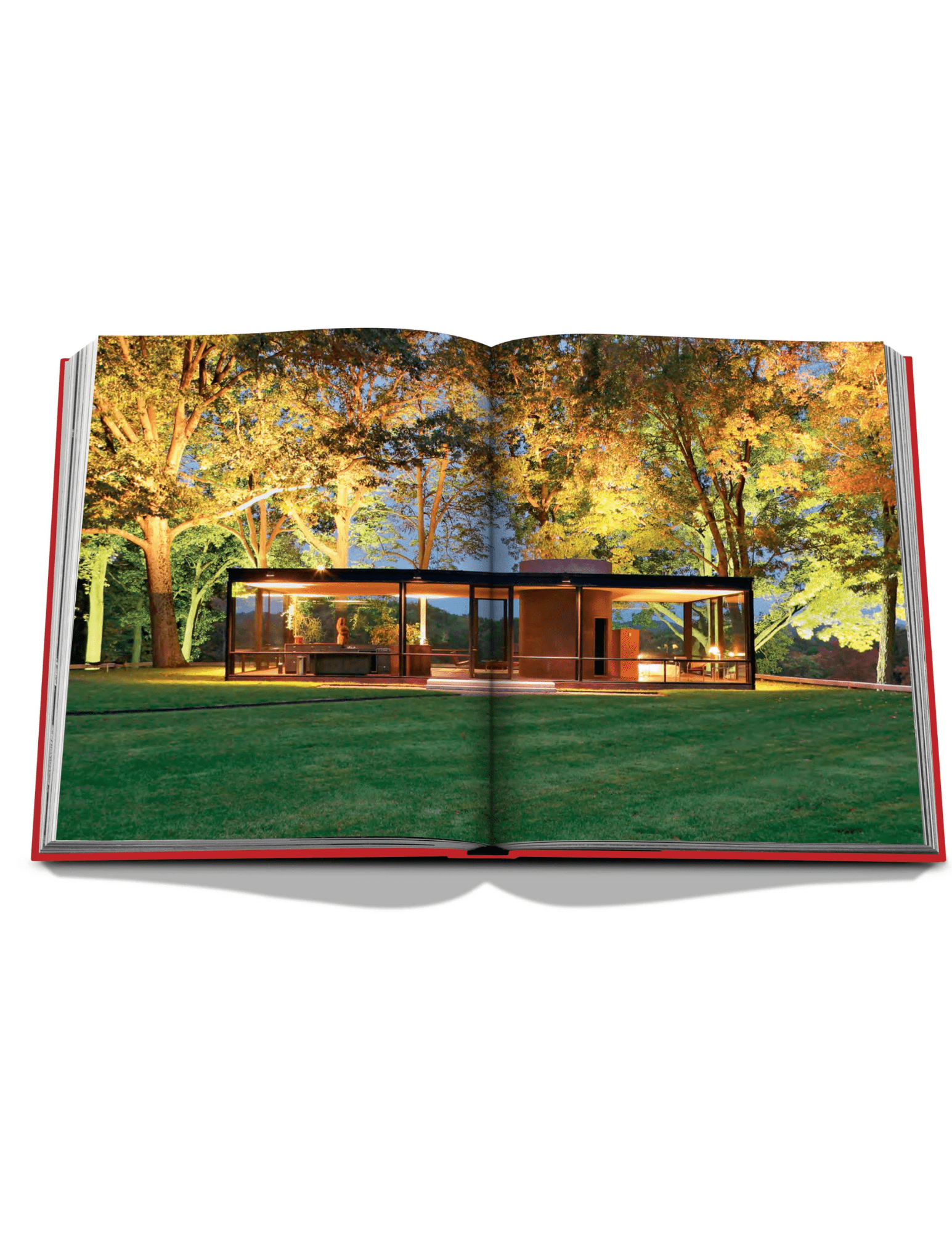 Assouline - Assouline Bauhaus Style Book - Buy Online