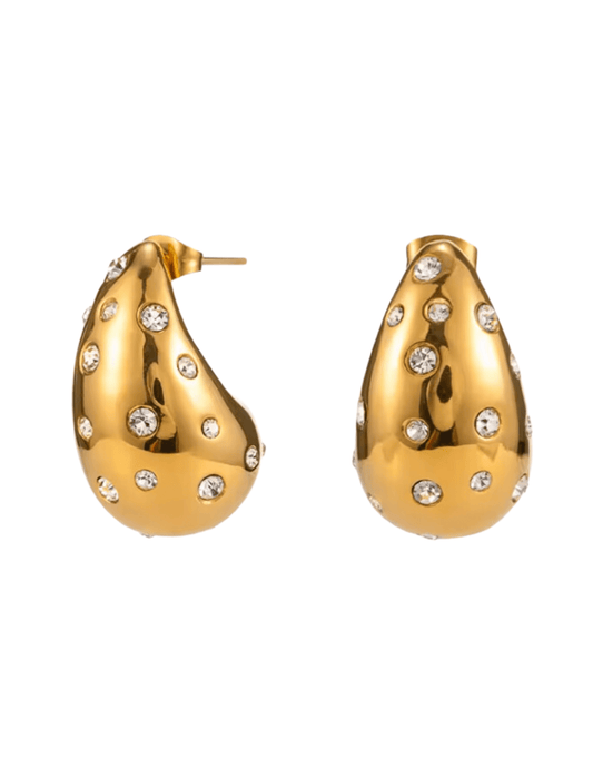 Austin Blaze Embellished Drop Earrings