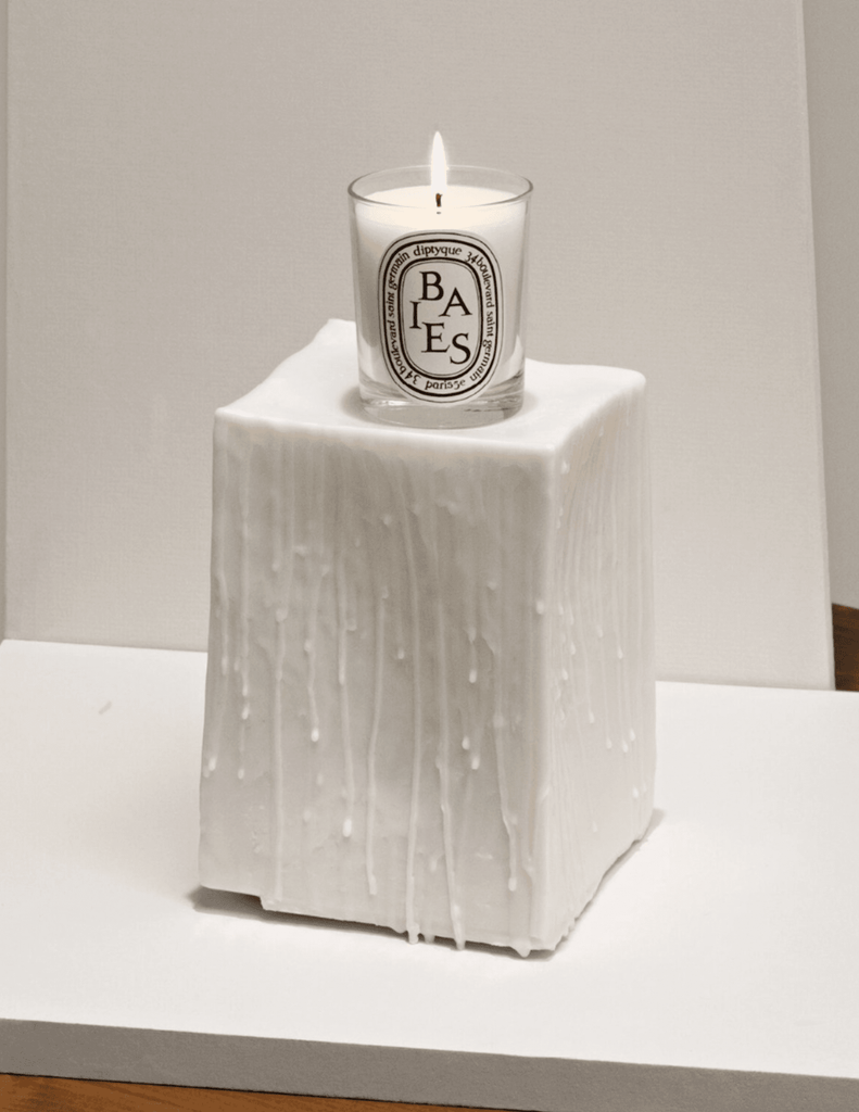 Diptyque Baies (Berries) Classic Candle