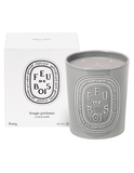 Diptyque Feu de Bois (Wood Fire) Large Candle