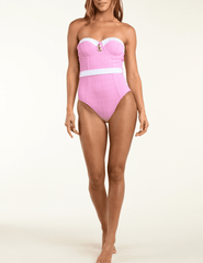 PRE-ORDER-L'Agence Amie Color-Block One Piece in Blush
