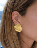 Steven Dann Gold Clam Shell Earring