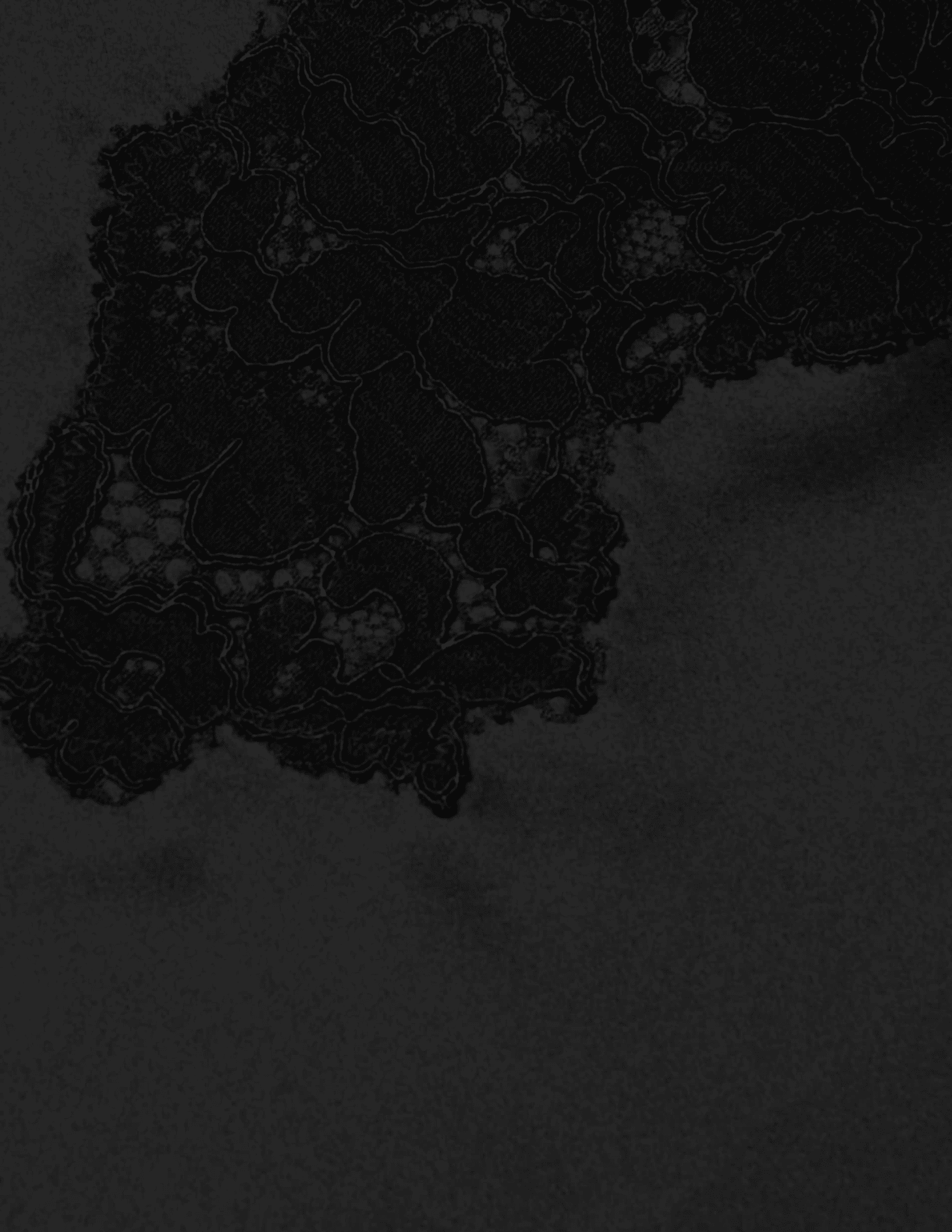 L'Agence - L'AGENCE Fenna Silk Lace Applique Dress - Buy Online