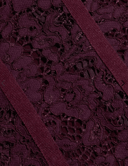 L'AGENCE Jenny Lace Bustier in Deep Sangria