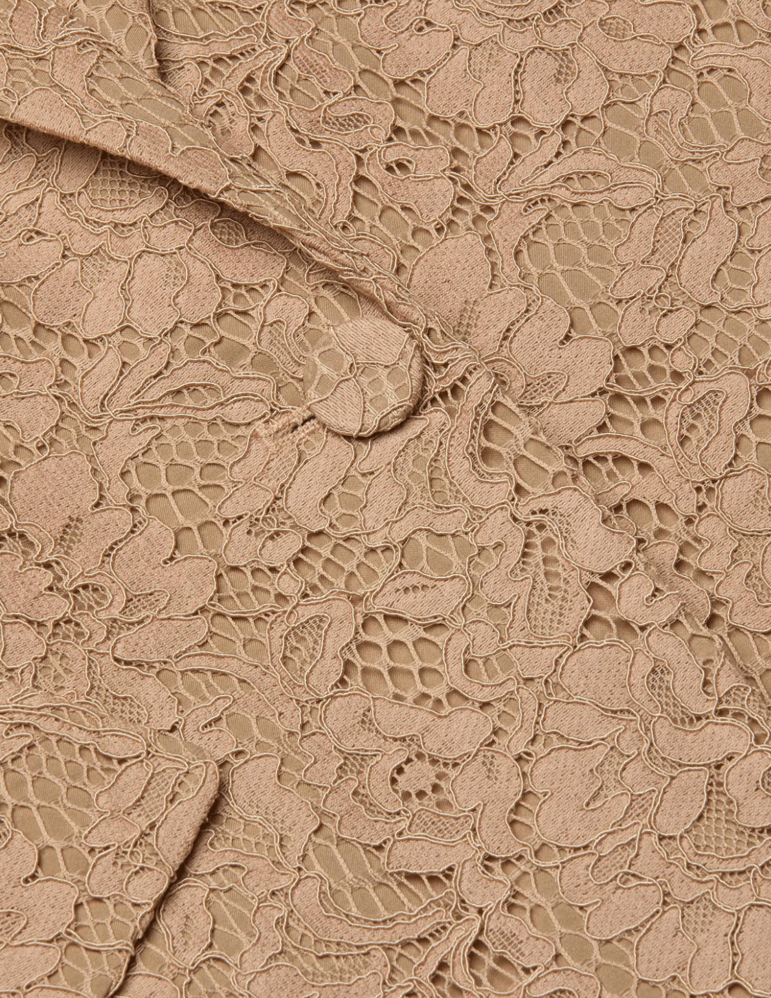 L'Agence - PRE-ORDER-L'AGENCE Chamberlain Lace Blazer in Cappuccino - Buy Online