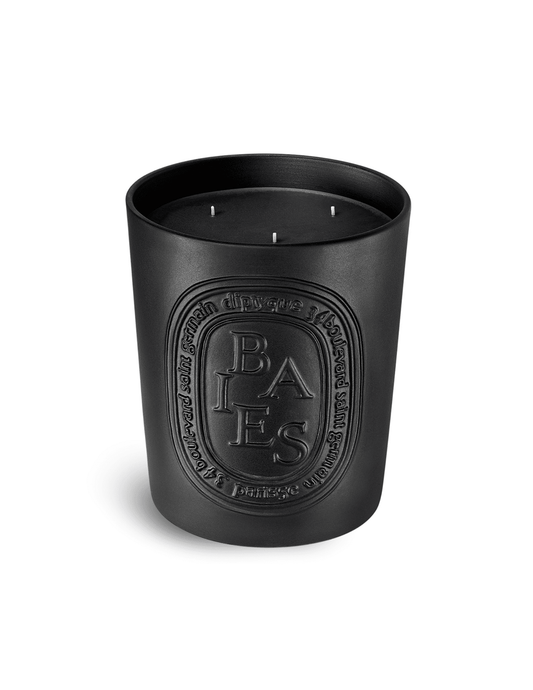 Diptyque Baies (Berries) Large Candle