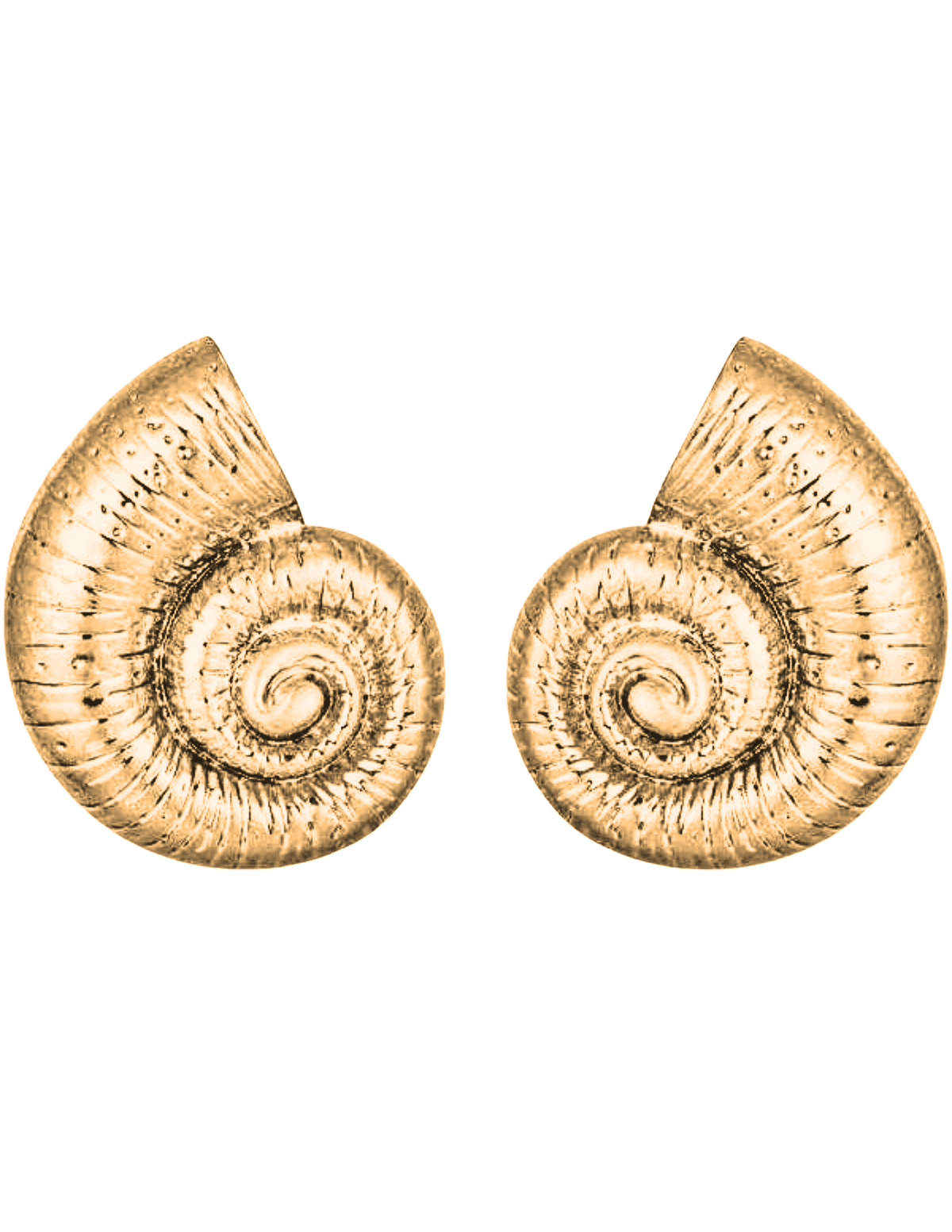 Steven Dann Nautilus Gold Seashell Earrings