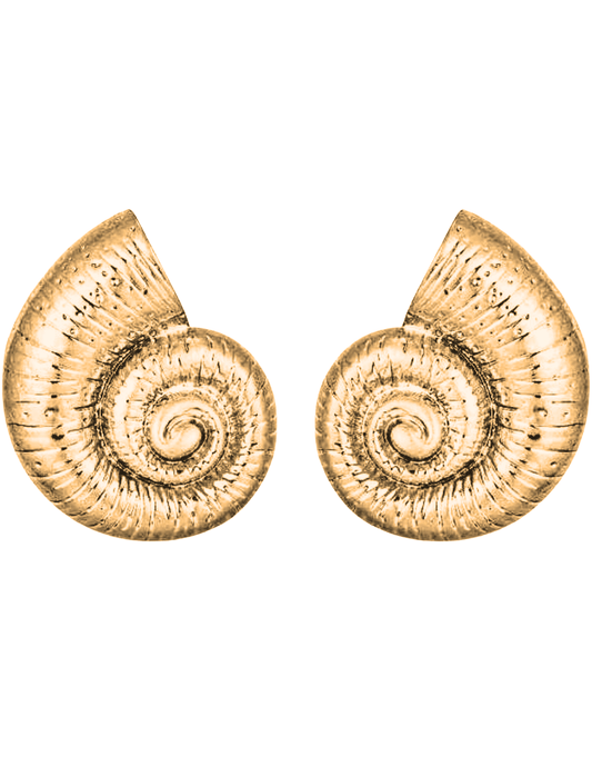 Steven Dann Nautilus Gold Seashell Earrings