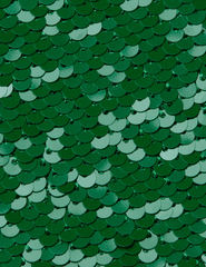 Close-up detail of green sequins on L’AGENCE Karma Maxi Dress