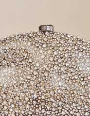 Sculptural clear clutch with silver-tone clasp and textured glass detailing.”
