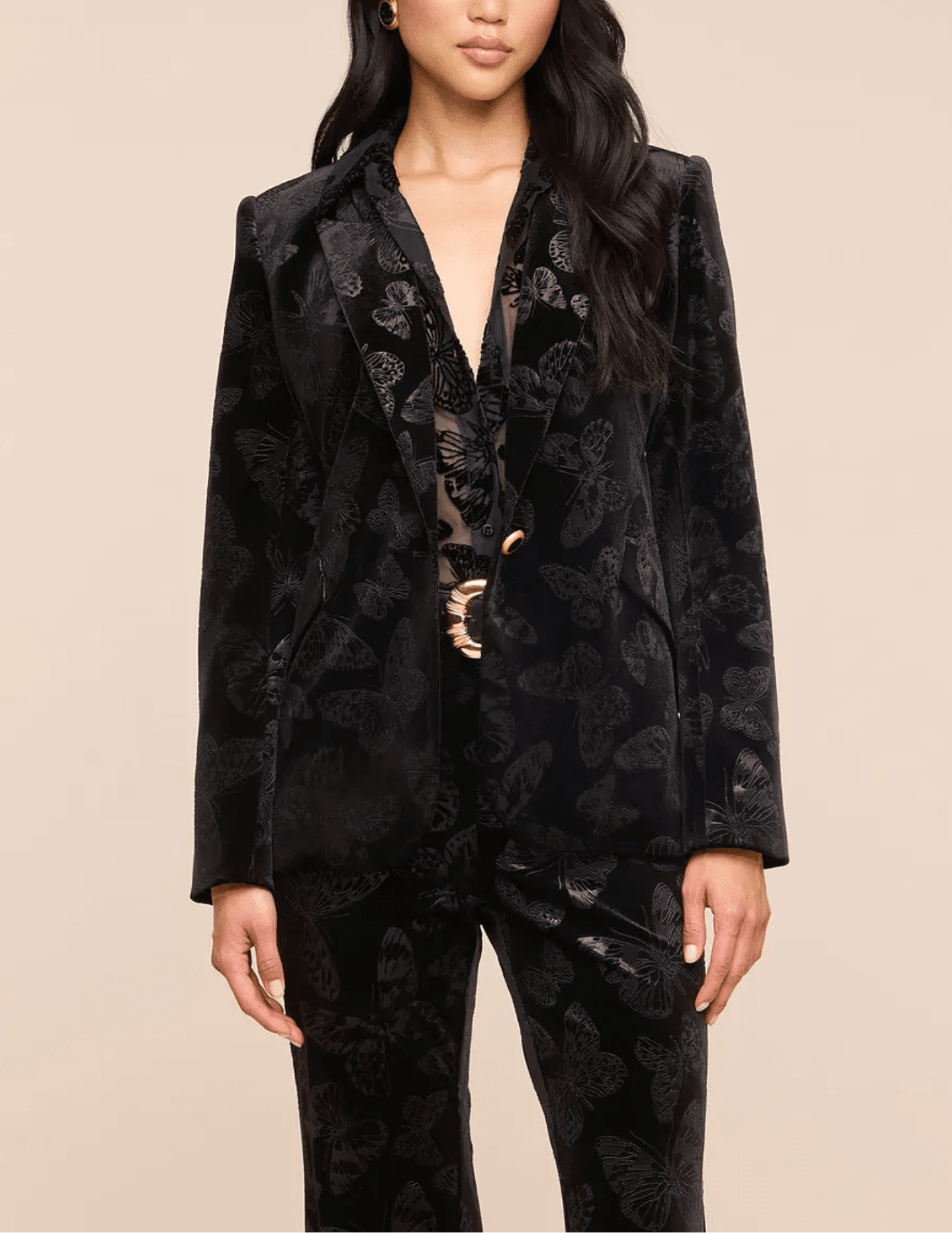 Front view of L’AGENCE Chamberlain Velvet Blazer Black Butterfly
