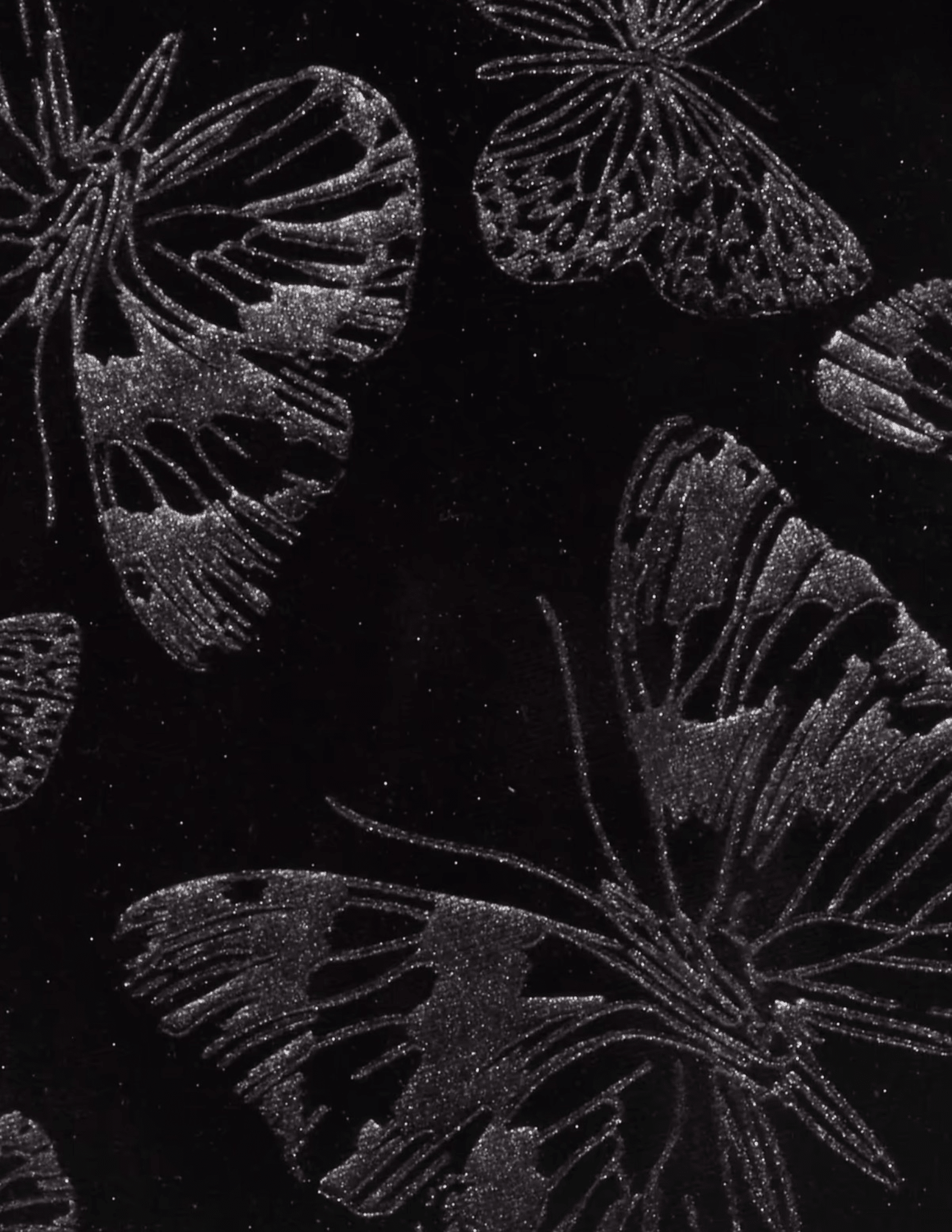 Details of L’AGENCE Frances Velvet Bootcut Trouser in Black Butterfly