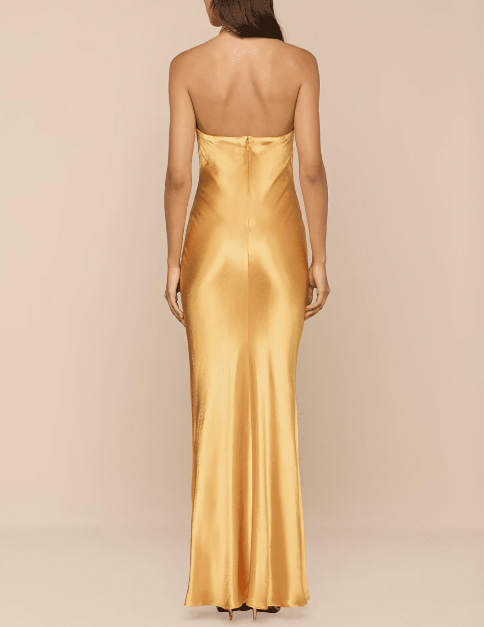 Back view of L’AGENCE Saphara Halter Gown in Dark Gold