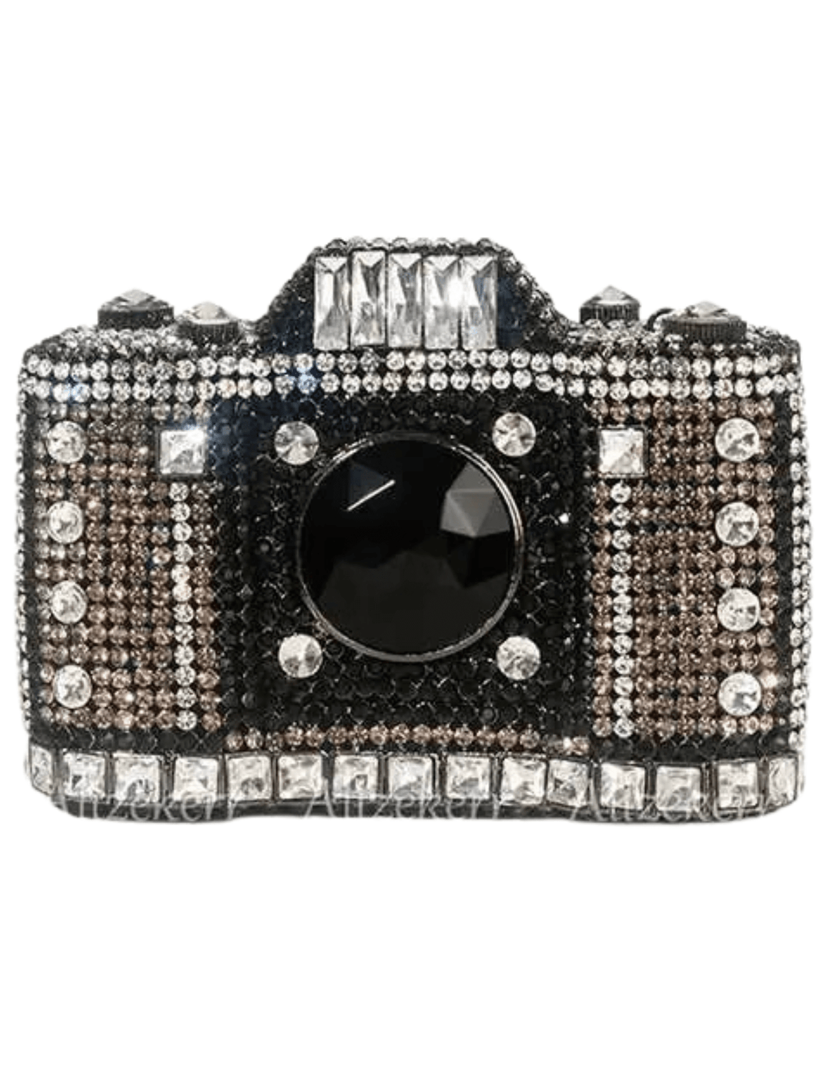 Fleur de Camélia Naomi Rhinestone Camera Clutch in black with rhinestone detailing.