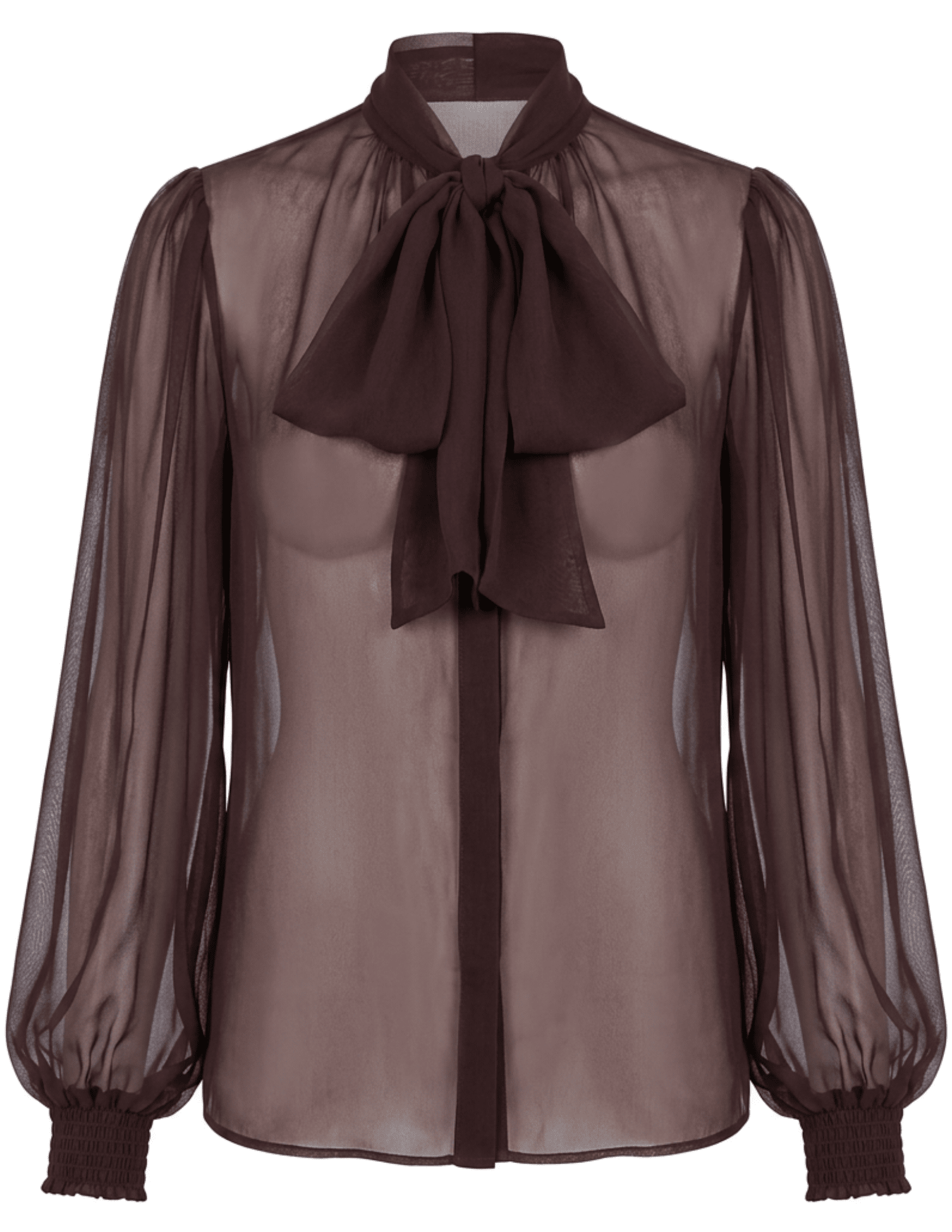 Retrofête Hasli Silk Chiffon Blouse in Mahogany