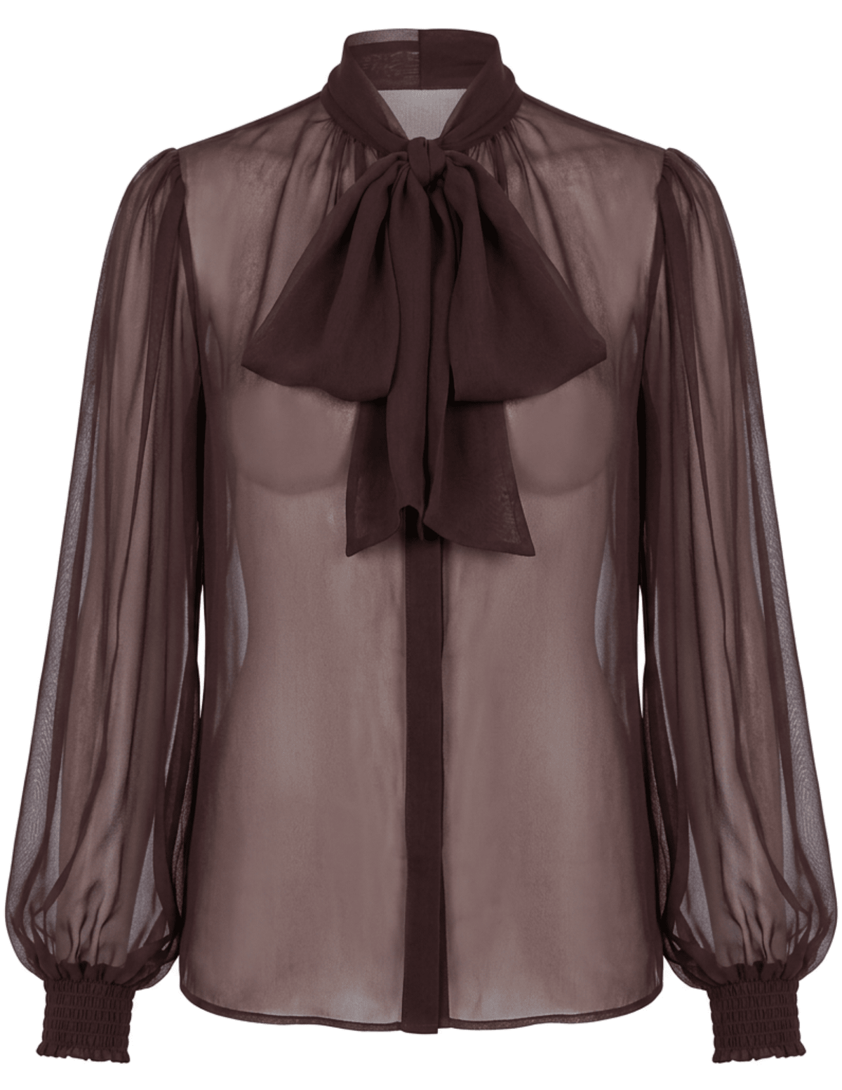 Retrofête Hasli Silk Chiffon Blouse in Mahogany