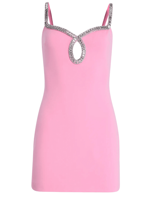 Retrofête Talitha flamingo pink mini dress 