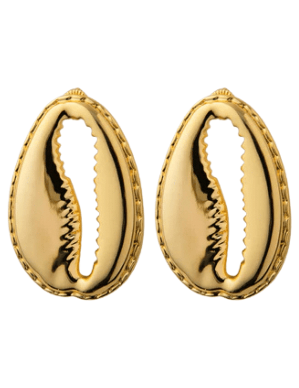 St. Barths Dara oversized gold puka shell earrings