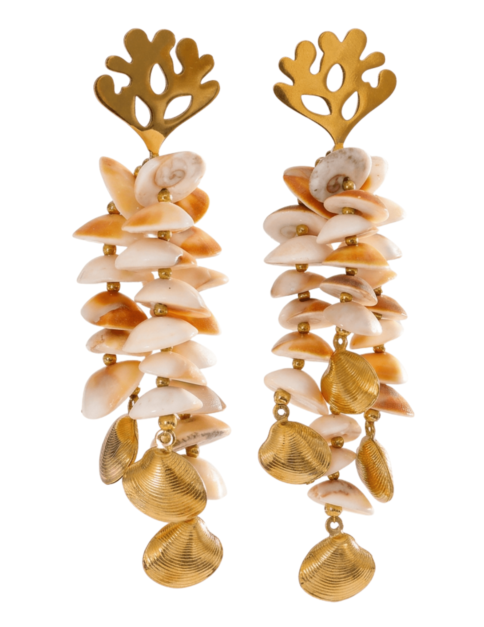 St Barths Riley shell dangle earrings gold and natural