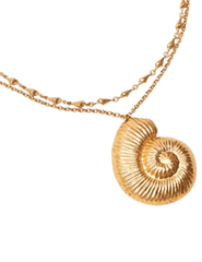 St. Barths La Robe - St. Barths La Robe Statement Seashell Layered Necklace - Buy Online