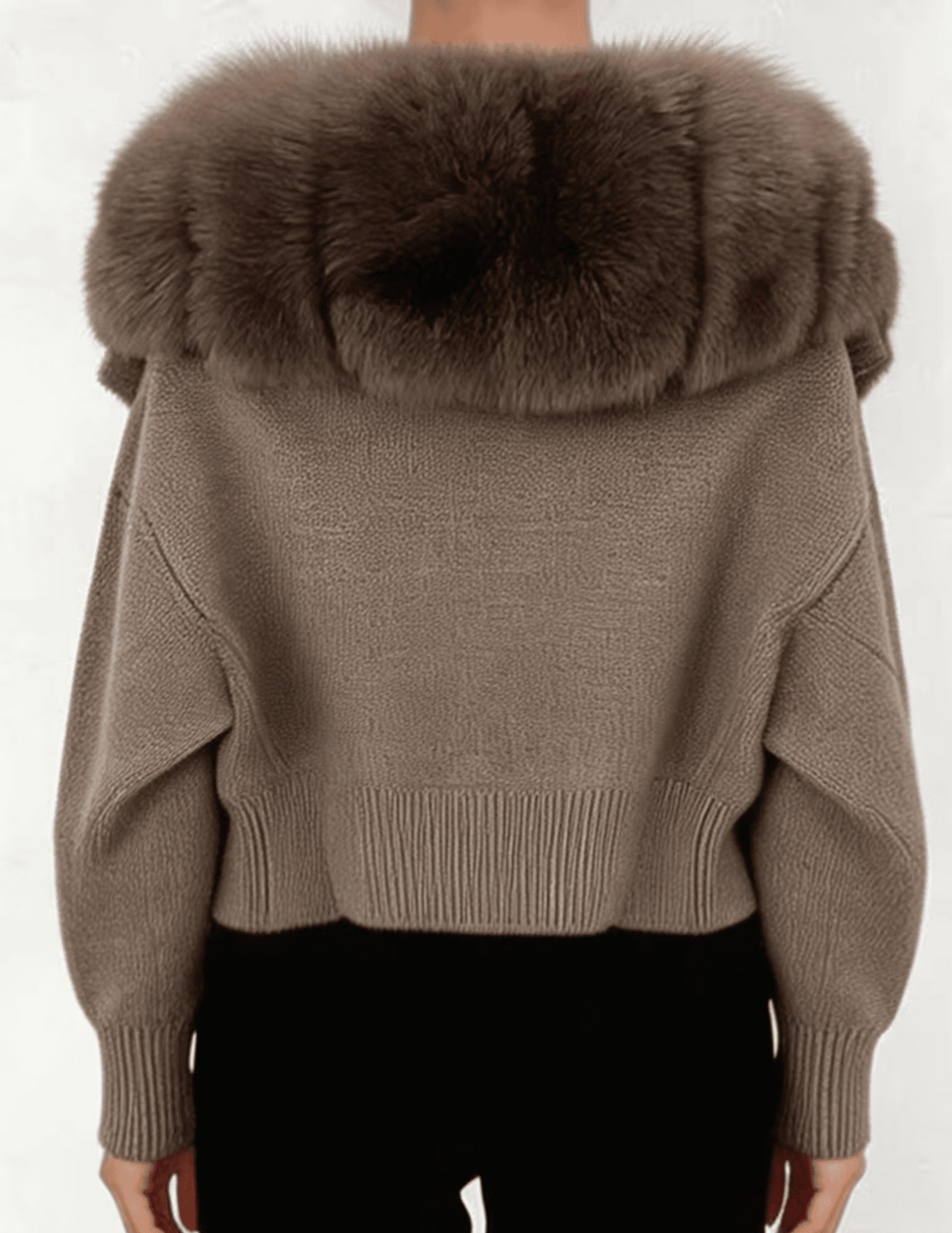 Back view of Steven Dann Josie Fox Collar Zip Cardigan in Taupe