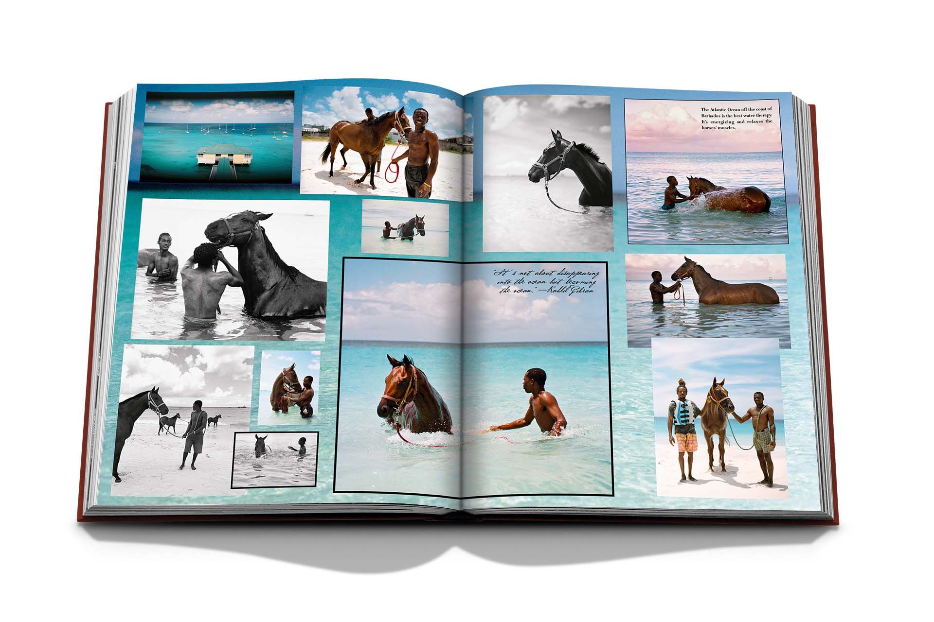 Assouline - Assouline Polo Heritage Book - Buy Online