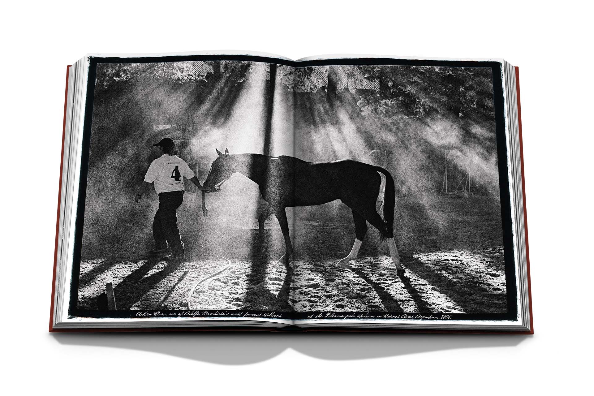 Assouline - Assouline Polo Heritage Book - Buy Online