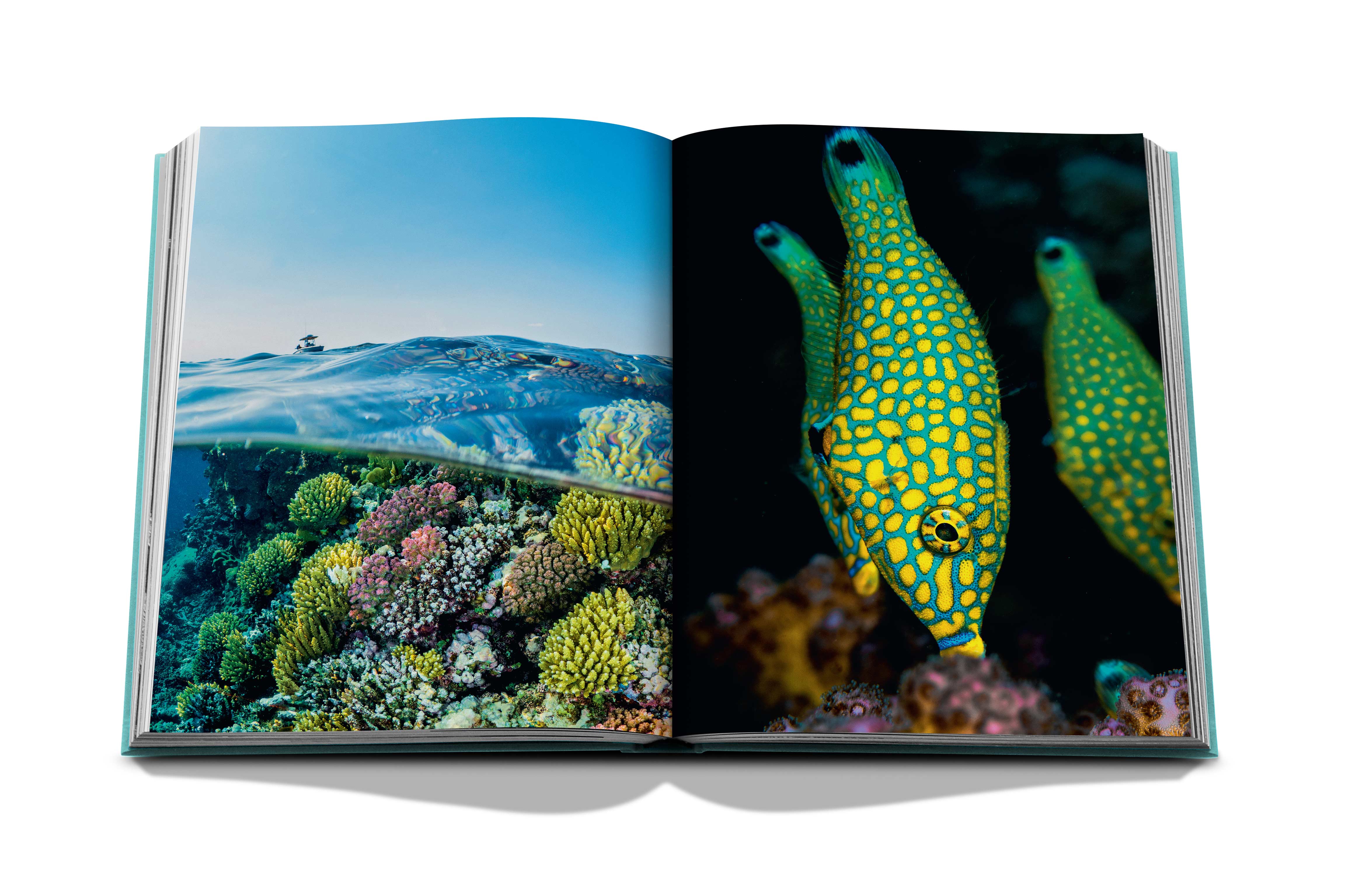 Assouline - Assouline Red Sea: The Saudi Coast Book - Buy Online