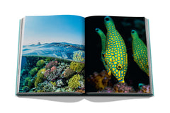 Assouline - Assouline Red Sea: The Saudi Coast Book - Buy Online