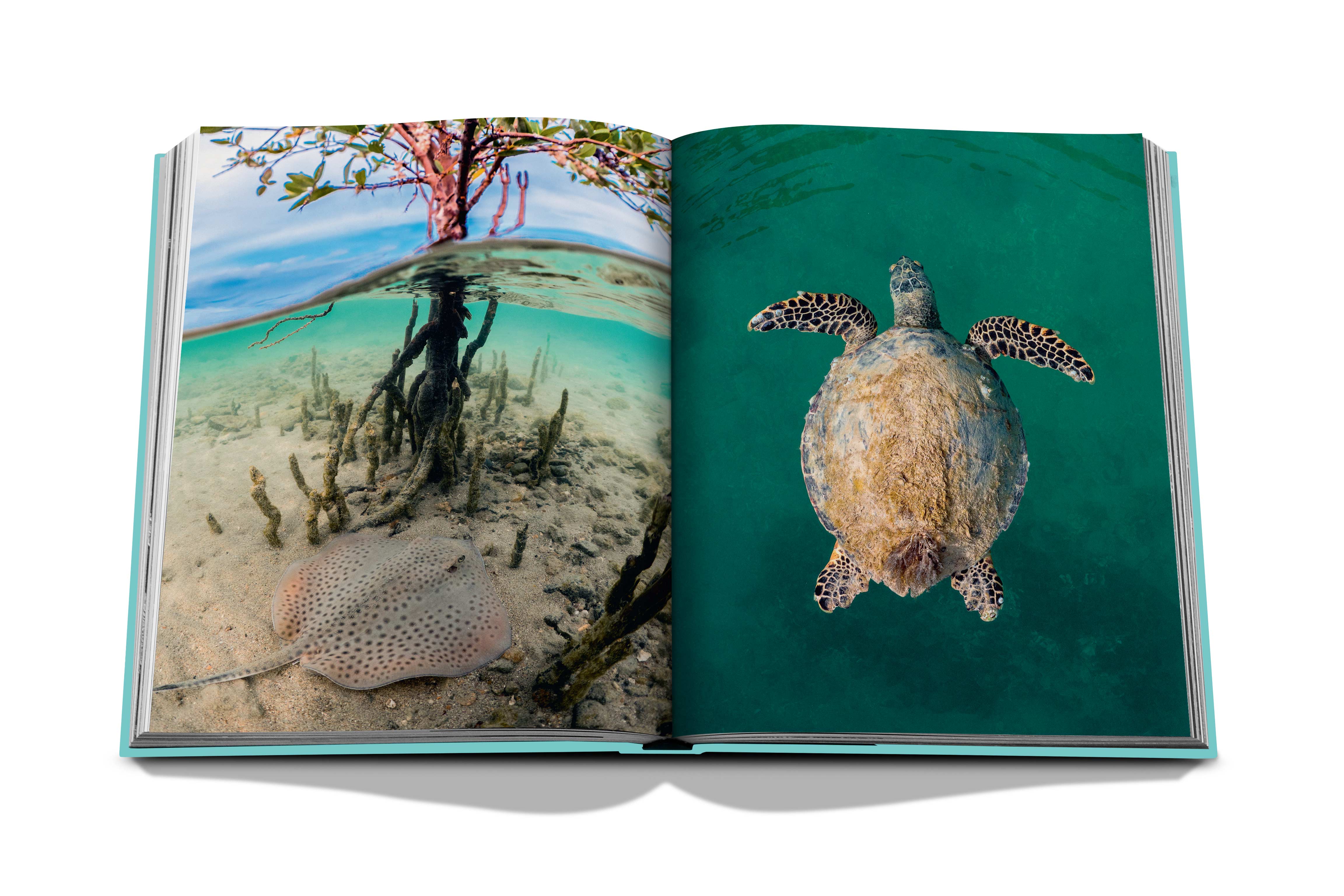 Assouline - Assouline Red Sea: The Saudi Coast Book - Buy Online