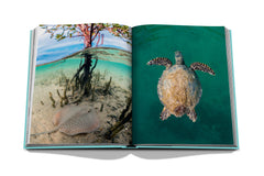 Assouline - Assouline Red Sea: The Saudi Coast Book - Buy Online
