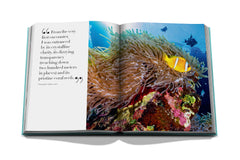 Assouline - Assouline Red Sea: The Saudi Coast Book - Buy Online