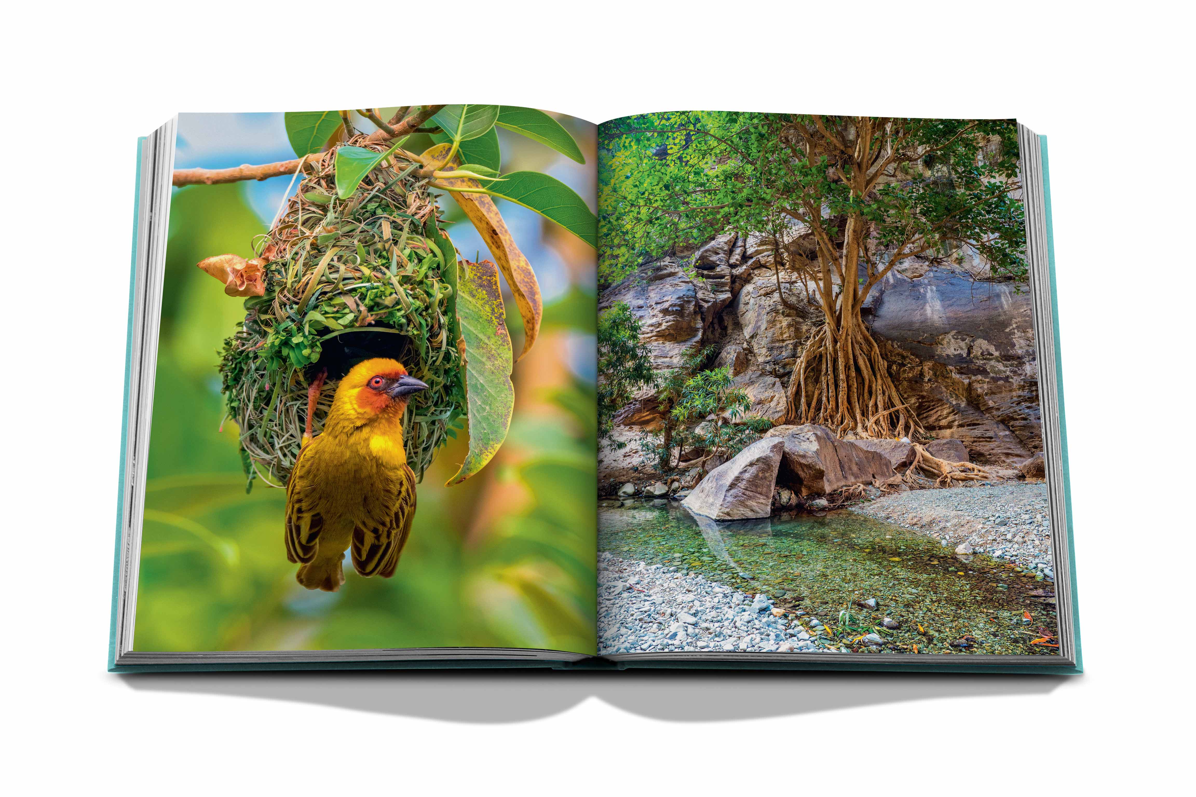 Assouline - Assouline Red Sea: The Saudi Coast Book - Buy Online