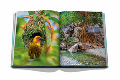 Assouline - Assouline Red Sea: The Saudi Coast Book - Buy Online