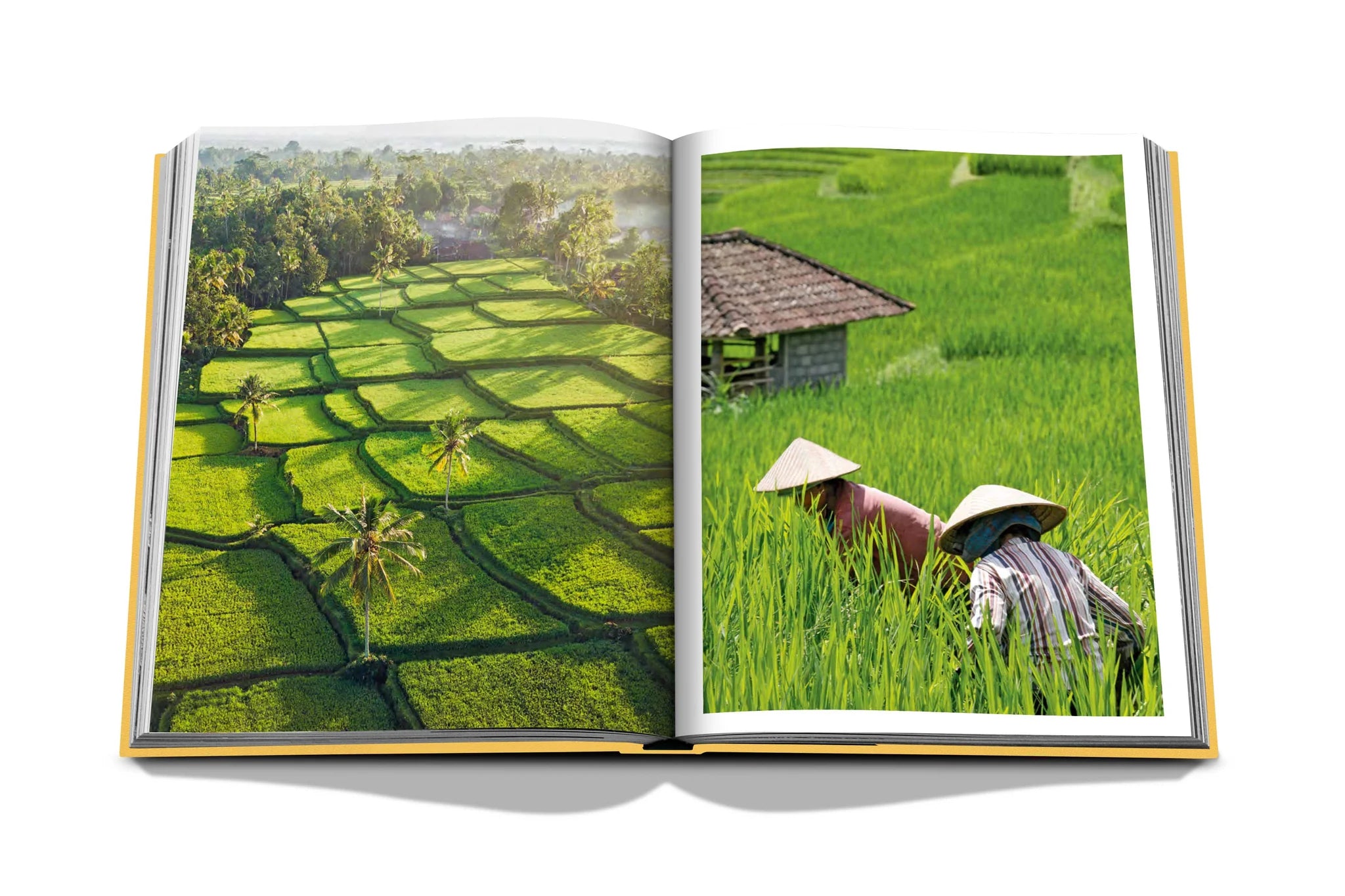 Assouline - Assouline Bali Mystique - Buy Online