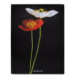Assouline Flowers: Art & Bouquets Book