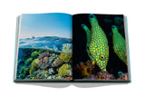 Assouline Red Sea: The Saudi Coast Book